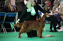 Crufts2011 024